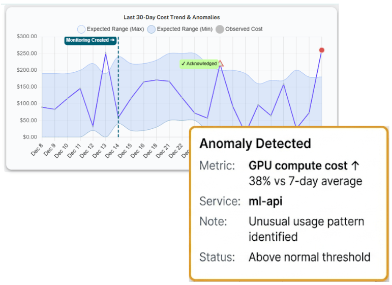 Cost anomaly and alert signals